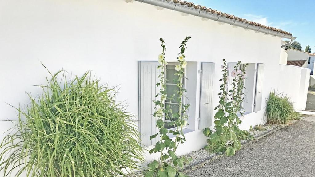 Le Clos Des Flots - L'Ocean La Flotte Eksteriør billede